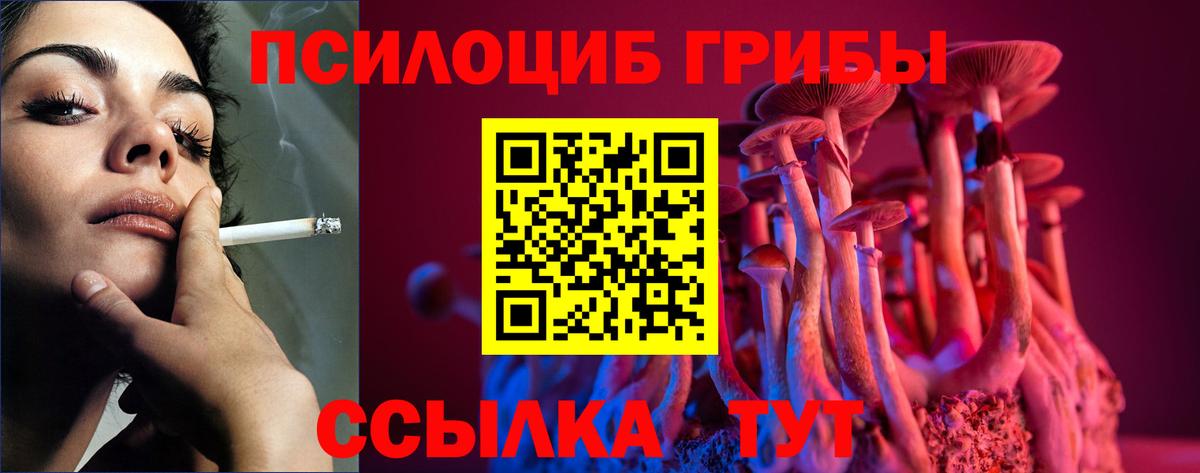 Галлюциногенные грибы GOLDEN TEACHER  Вход с VPN  Анжеро-Судженск 